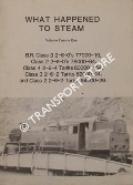 Book cover of What Happened to Steam by HANDS, Peter